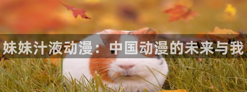 风车动漫在线观看高清免费