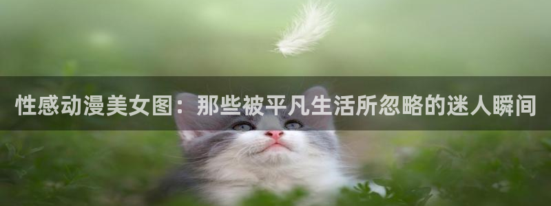 风车动漫新版app下载