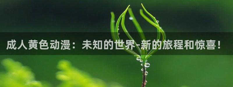 风车动漫布米米：成人黄色动漫：未知的世界-新的旅程和惊喜！