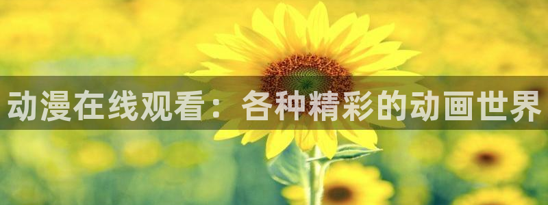 零之使魔风车动漫：动漫在线观看：各种精彩的动画世界
