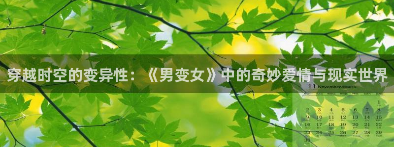 哑舍风车动漫：穿越时空的变异性：《男变女》中的奇妙爱情与现实世界