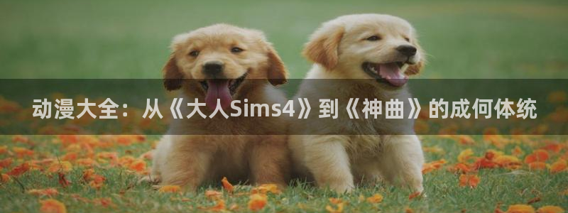 风车动漫迪迦奥特曼：动漫大全：从《大人Sims4》到《神曲》的成何体统