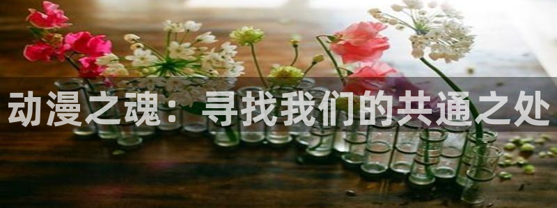 樱花动漫官网风车动漫：动漫之魂：寻找我们的共通之处
