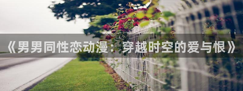风车动漫网站手机版：《男男同性恋动漫：穿越时空的爱与恨》