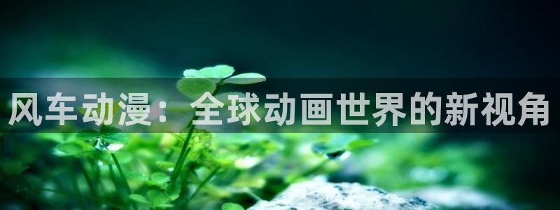 风车动漫岛：风车动漫：全球动画世界的新视角