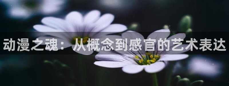 风车动漫漫画版：动漫之魂：从概念到感官的艺术表达