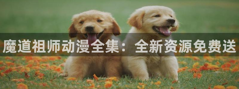 风车动漫官网网站：魔道祖师动漫全集：全新资源免费送