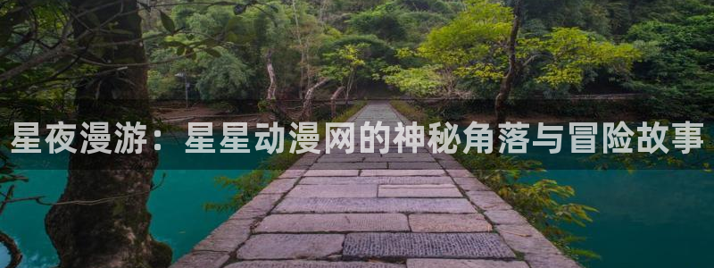 日在校园风车动漫：星夜漫游：星星动漫网的神秘角落与冒险故事